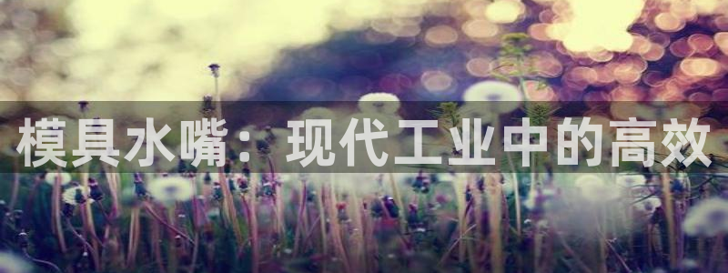 太阳神电子游戏平台：模具水嘴：现代工业中的高效