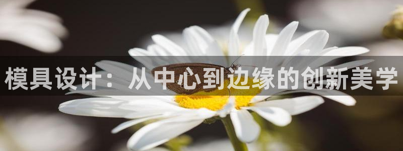 太阳集团电子游戏(中国)有限公司：模具设计：从中心到边缘的创