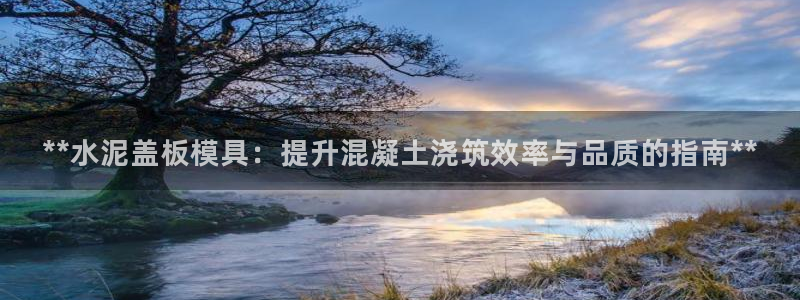 太阳集团游戏官方网址老字号：**水泥盖板模具：提升混凝土浇筑效率与品质的指南**