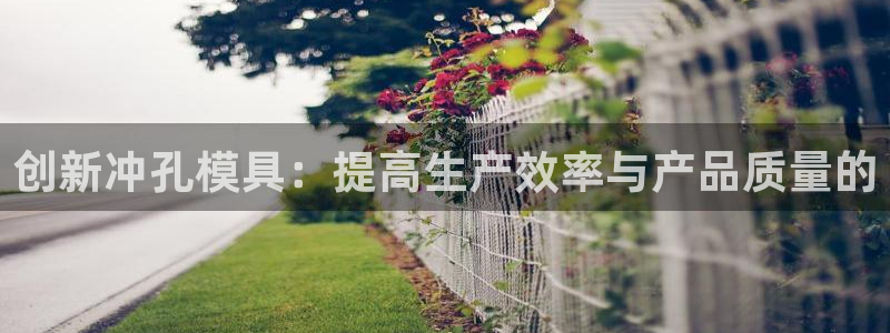 太阳成娱乐集团：创新冲孔模具：提高生产效率与产品质量的