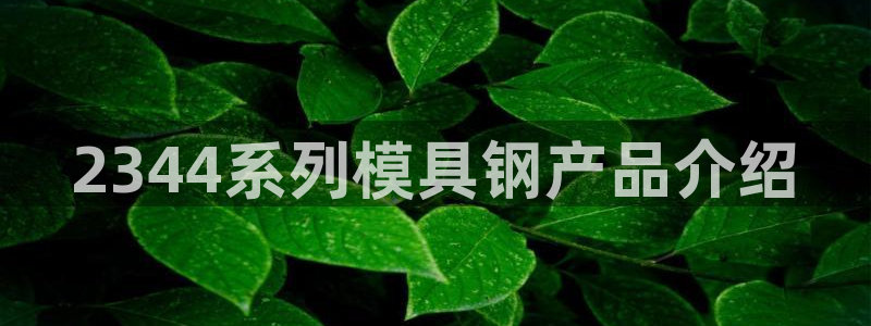 太阳集团电子游戏官网：2344系列模具钢产品介绍