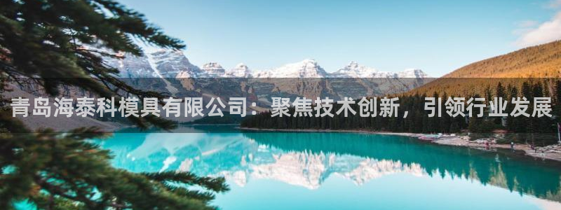 太阳gg是真的吗：青岛海泰科模具有限公司：聚焦技术创新，引领行业发展