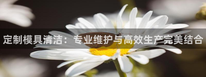 太阳集团是什么公司旗下的：定制模具清洁：专业维护与高效生产完美结合