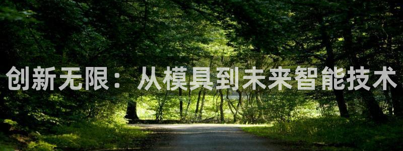 太阳集团主要是做什么的：创新无限：从模具到未来智能技术