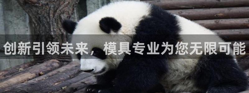 古天乐和太阳集团：创新引领未来，模具专业为您无限可能