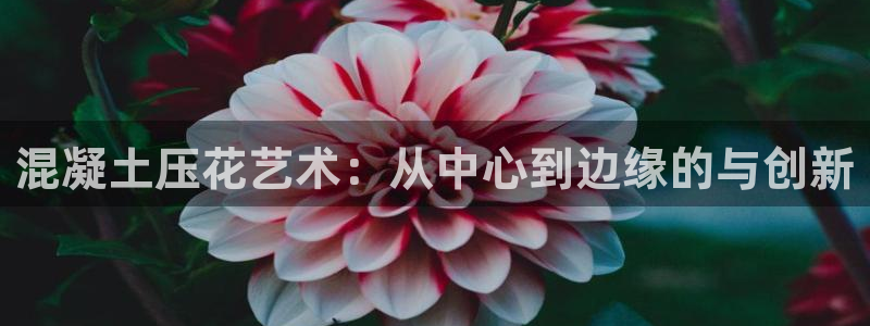 太阳集团1383：混凝土压花艺术：从中心到边缘的与创新