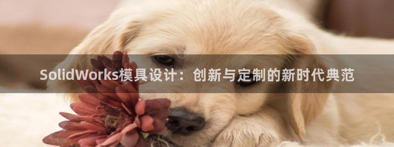 太阳集团房地产
