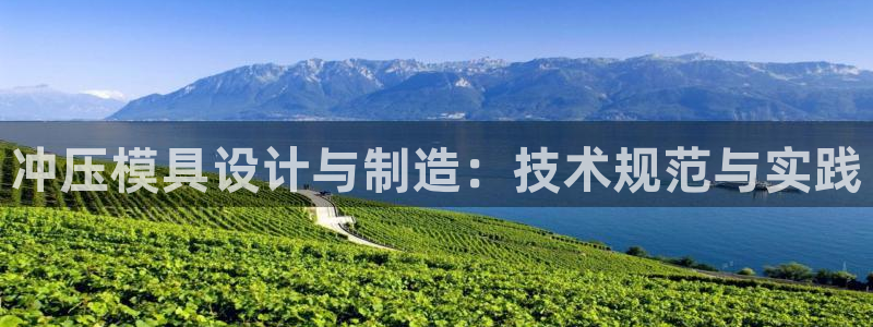 太阳集团tcy8722-主页|欢迎您：冲压模具设计与制造：技术规范与实践