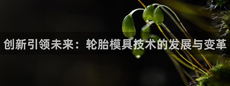 古天乐太阳网城：创新引领未来：轮胎模具技术的发展与变革