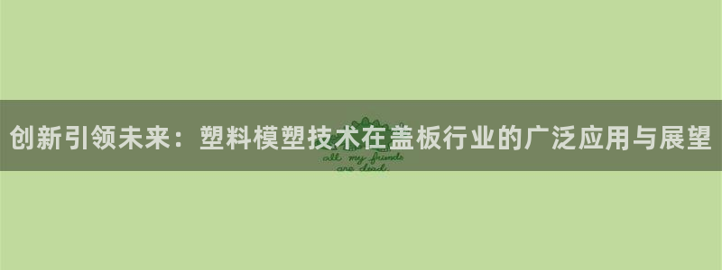 122cc太阳集成游戏官方网站：创新引领未来：塑料模塑技术在盖板行业的广泛应用与展望
