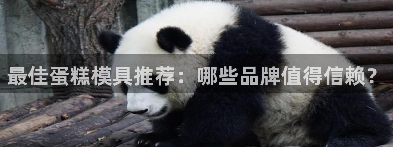 太阳集团app十佳平台有哪些：最佳蛋糕模具推荐：哪些品牌值得信赖？