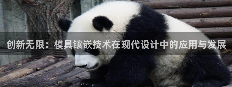 太阳集团城注册就送38welcome：创新无限：模具镶嵌技术在现代设计中的应用与发展