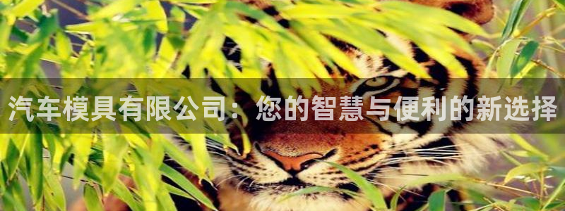 太阳集团sungroup：汽车模具有限公司：您的智慧与便利的新选择