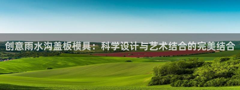太阳成集团tyc234cc主页网站：创意雨水沟盖板模具：科学设计与艺术结合的完美结合