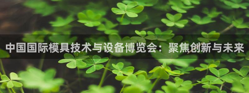 太阳国际游戏平台：中国国际模具技术与设备博览会：聚焦创新与未来