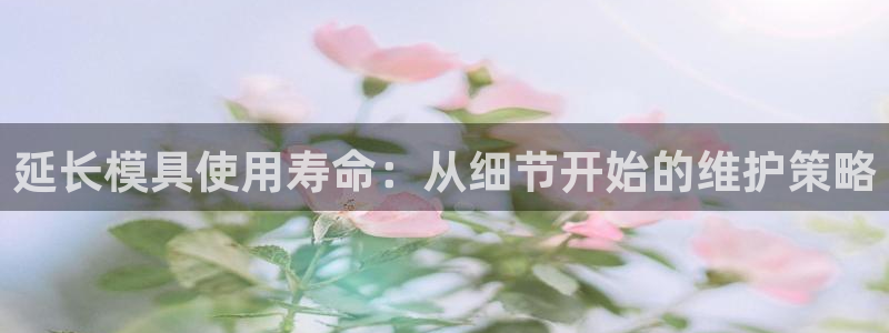 太阳成集团游戏合集：延长模具使用寿命：从细节开始的维护策略