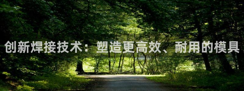 澳门太阳游戏城：创新焊接技术：塑造更高效、耐用的模具