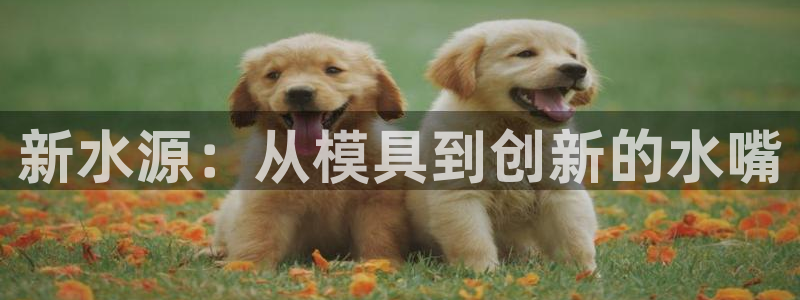 太阳成集团tyc234cc[主页]：新水源：从模具到创新的水嘴