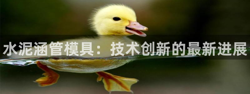 太阳成集团百度百科：水泥涵管模具：技术创新的最新进展
