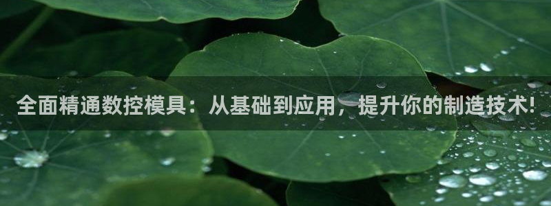 122cc太阳集成游戏官方网站：全面精通数控模具：从基础到应用，提升你的制造技术!