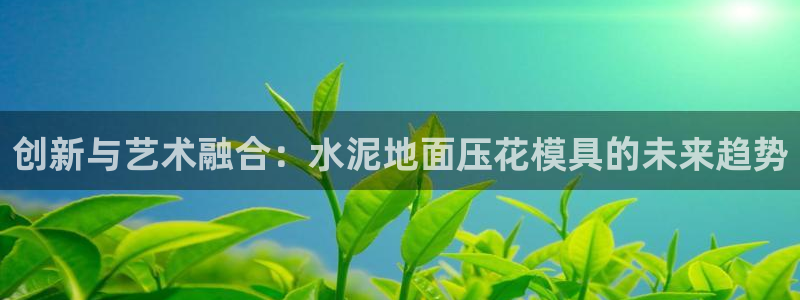 太阳成集团app：创新与艺术融合：水泥地面压花模具的未来趋势