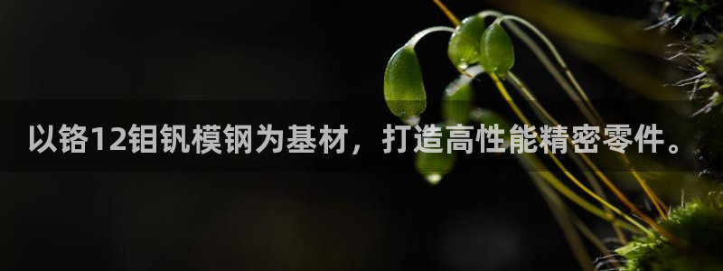 太阳集团是什么电视剧