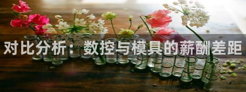 太阳集团2018网址：对比分析：数控与模具的薪酬差距