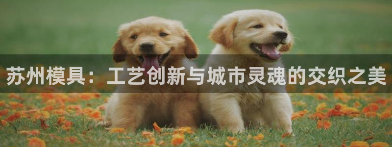 太阳app官方：苏州模具：工艺创新与城市灵魂的交织之美