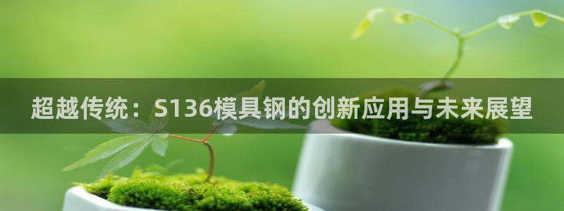 太阳成集团洗米华：超越传统：S136模具钢的创新应用与未来展望