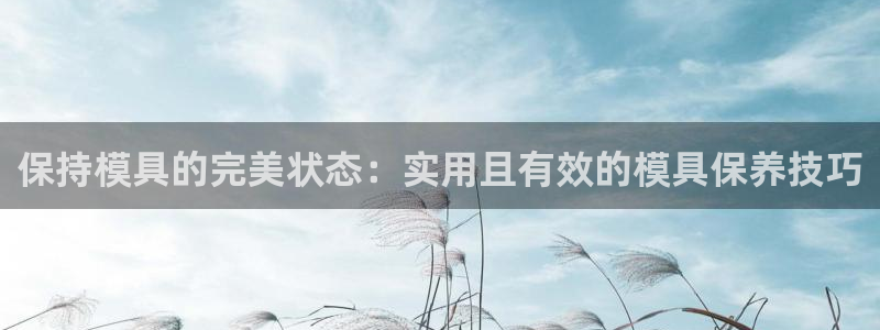 太阳集团手机app下载：保持模具的完美状态：实用且有效的模具