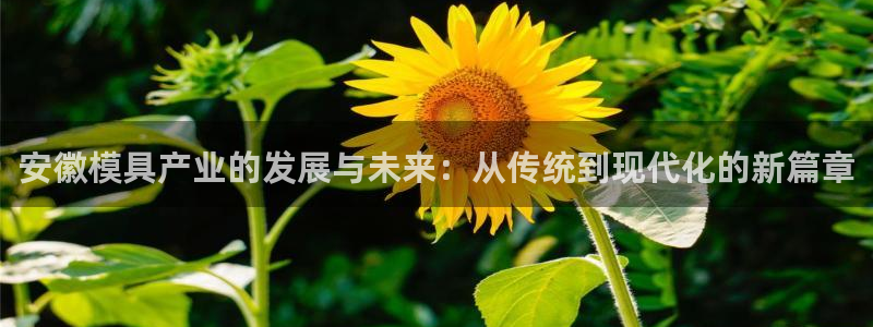 44118太阳成城集团：安徽模具产业的发展与未来：从传统到现
