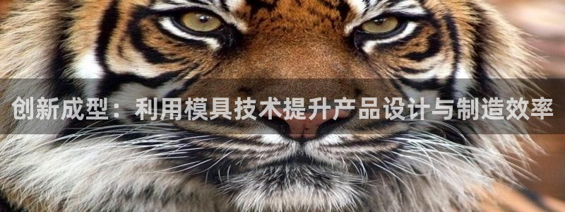 太阳集团网址8722：创新成型：利用模具技术提升产品设计与制造效率
