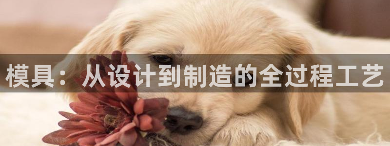 太阳集团电子游戏(中国)有限公司官网：模具：从设计到制造的全过程工艺