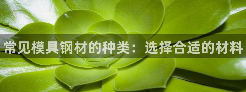 太阳集团城官方app：常见模具钢材的种类：选择合适的材料