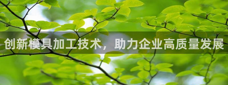 太阳集市网上商城：创新模具加工技术，助力企业高质量发展