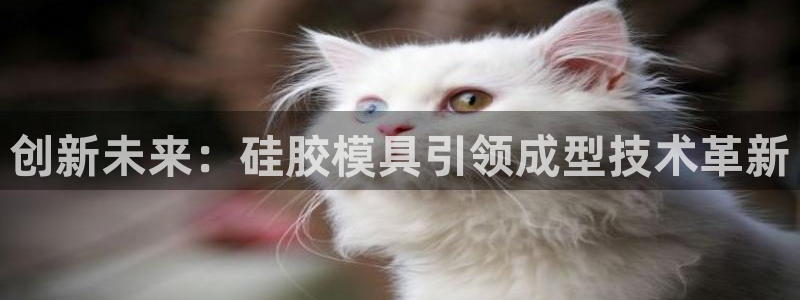 2018太阳集团游戏网站：创新未来：硅胶模具引领成型技术革新