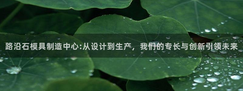奥门太阳集团城：路沿石模具制造中心:从设计到生产，我们的专长与创新引领未来