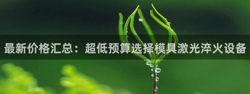 太阳gg平台登陆：最新价格汇总：超低预算选择模具激光淬火设备