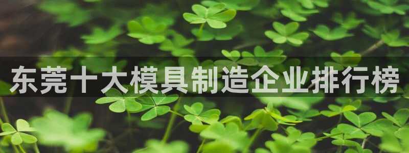 冷たい太阳：东莞十大模具制造企业排行榜