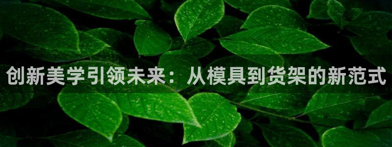 太阳gg在线测速登录：创新美学引领未来：从模具到货架的新范式
