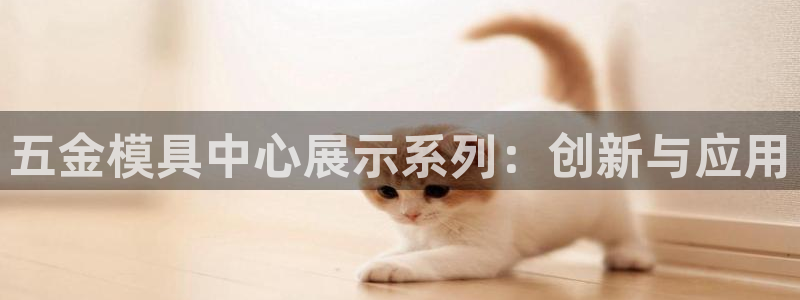 太阳集团洗米华菲律宾：五金模具中心展示系列：创新与应用