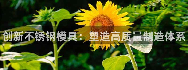 太阳集团影视