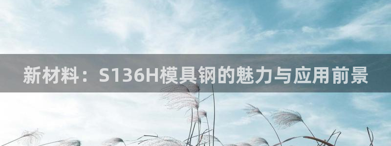 太阳集团主要是做什么的