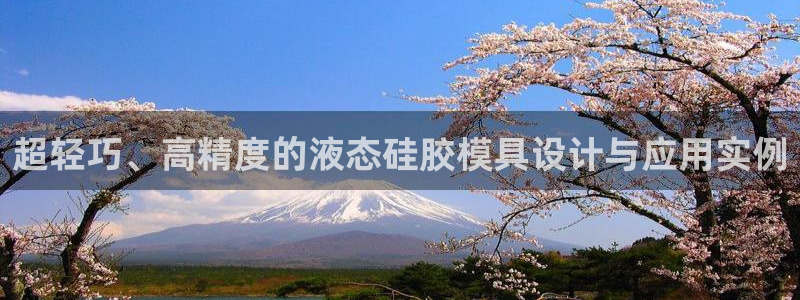 太阳gg娱选_2o5o26：超轻巧、高精度的液态硅胶模具设计