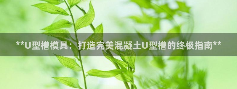太阳集团网站入口：**U型槽模具：打造完美混凝土U型槽的终极指南**
