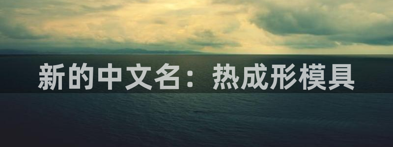 太阳集团电子游戏大全：新的中文名：热成形模具