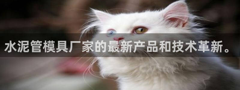 太阳集团78566备用网址：水泥管模具厂家的最新产品和技术革新。