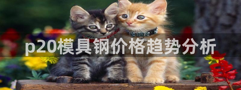 太阳集团电子游戏大全：p20模具钢价格趋势分析