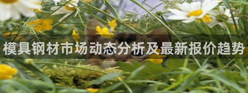 太阳成集团tyc151：模具钢材市场动态分析及最新报价趋势