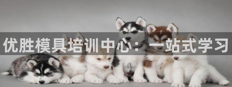 太阳集团董事长是谁照片